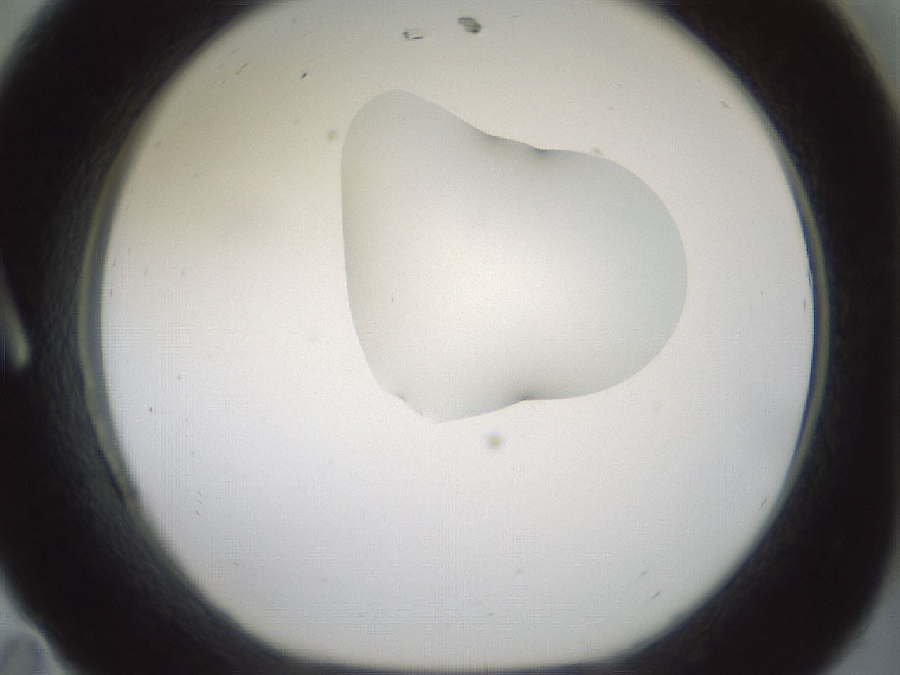 folderID267_plateID1267_batchID4193_wellNum11_profileID1_d1_r76236_ef.jpg