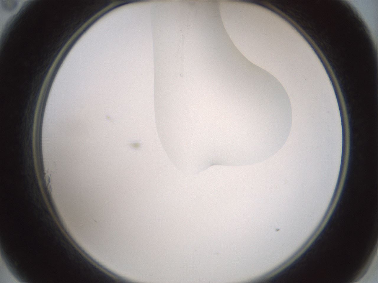 folderID267_plateID1267_batchID4193_wellNum11_profileID1_d2_r76237_ef.jpg