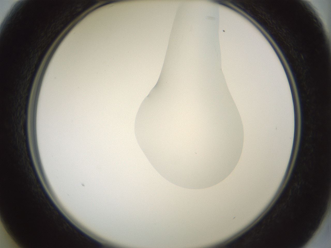 folderID267_plateID1267_batchID4193_wellNum13_profileID1_d2_r76241_ef.jpg