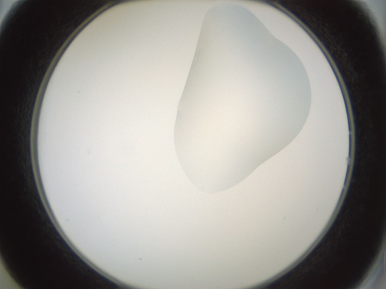 folderID267_plateID1267_batchID4193_wellNum14_profileID1_d2_r76243_ef.jpg
