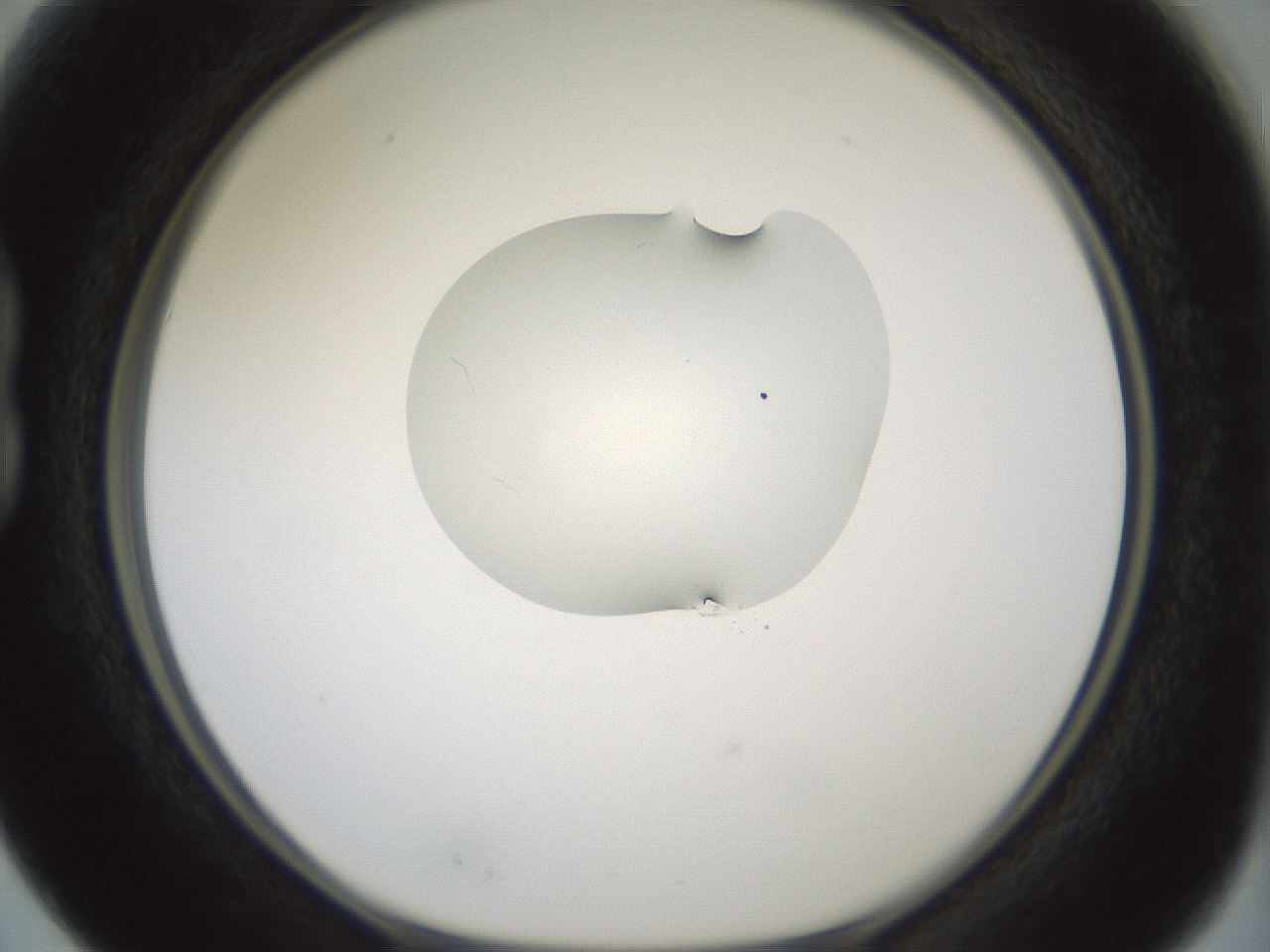 folderID267_plateID1267_batchID4193_wellNum15_profileID1_d1_r76244_ef.jpg