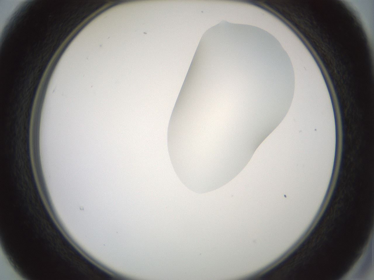 folderID267_plateID1267_batchID4193_wellNum15_profileID1_d2_r76245_ef.jpg
