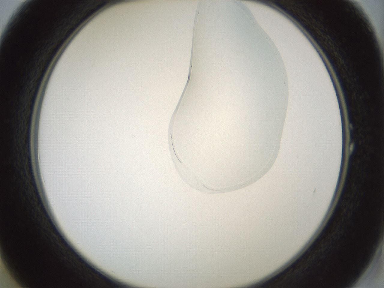 folderID267_plateID1267_batchID4193_wellNum1_profileID1_d2_r76217_ef.jpg