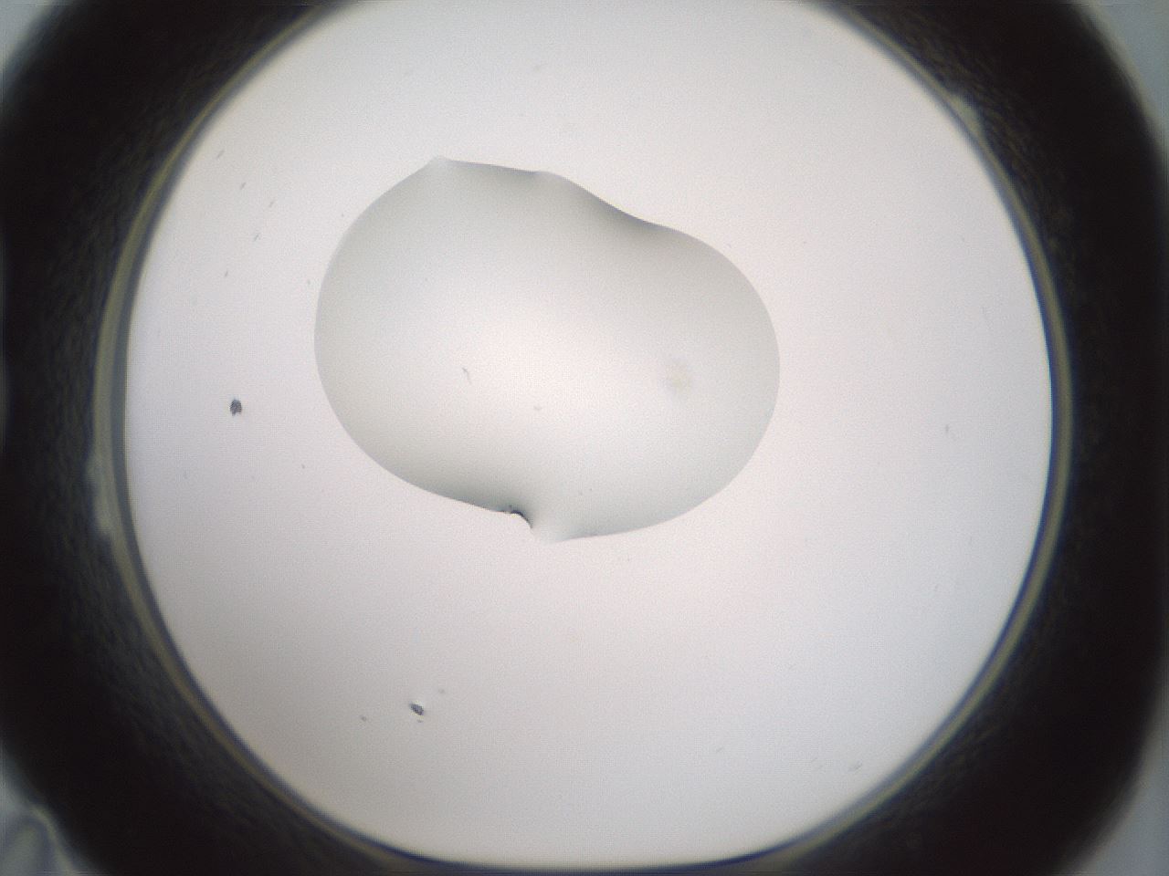 folderID267_plateID1267_batchID4193_wellNum23_profileID1_d1_r76260_ef.jpg