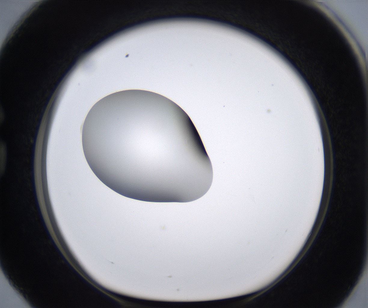folderID266_plateID2266_batchID10358_wellNum76_profileID1_d1_r158029_ef.jpg
