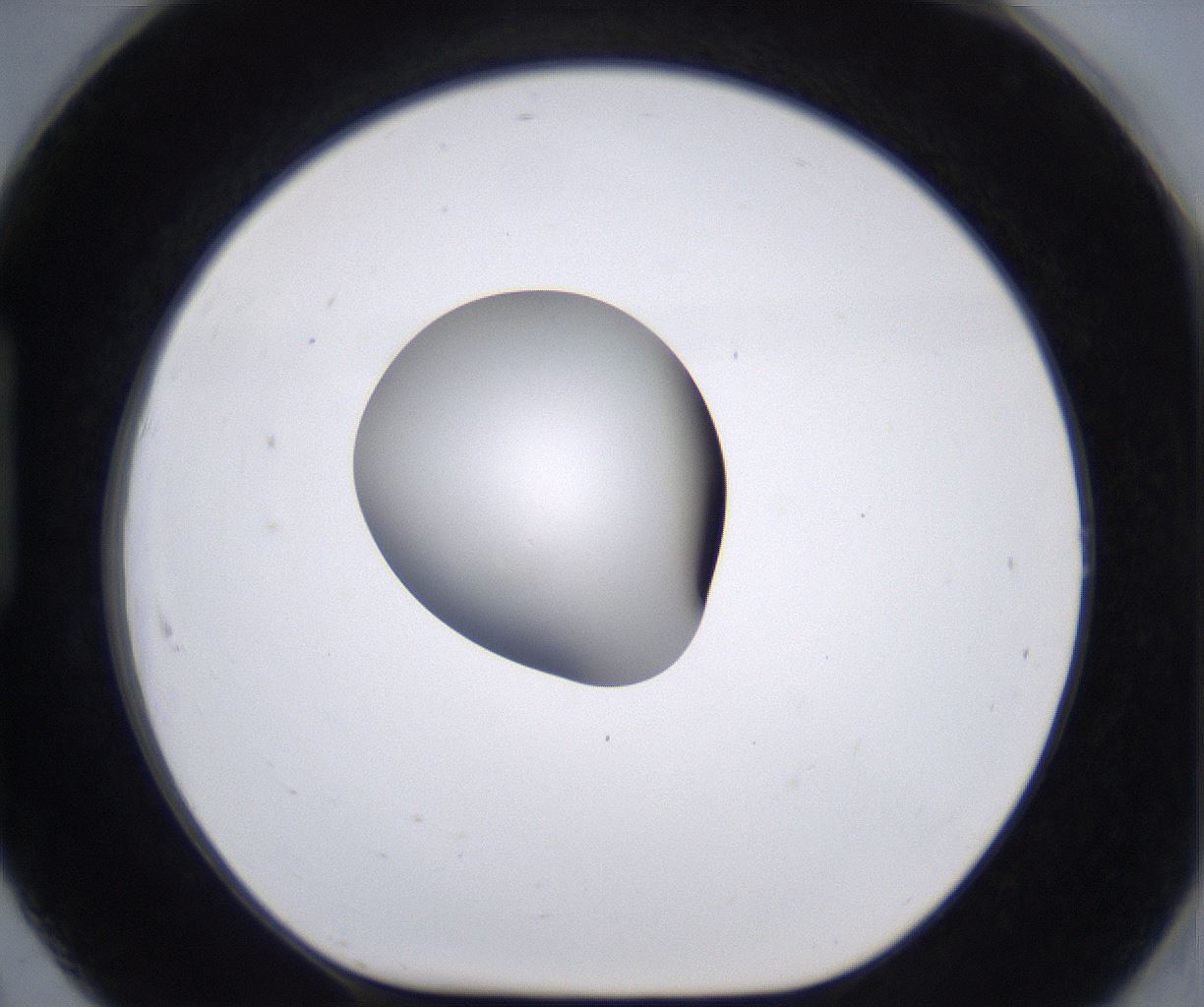 folderID266_plateID2266_batchID10358_wellNum91_profileID1_d1_r158044_ef.jpg