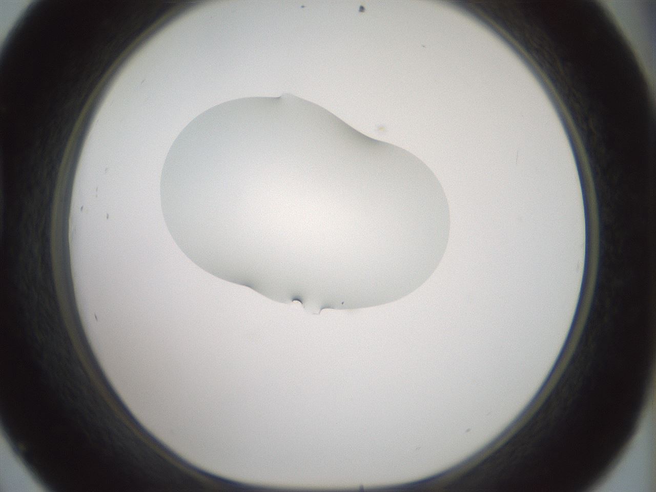folderID267_plateID1267_batchID4193_wellNum45_profileID1_d1_r76304_ef.jpg