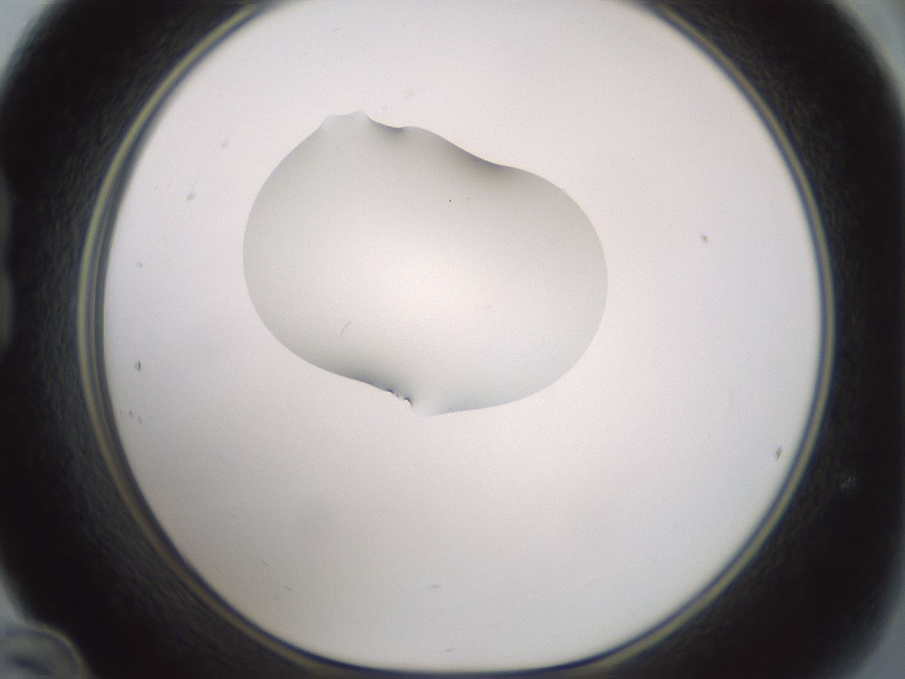 folderID267_plateID1267_batchID4193_wellNum24_profileID1_d1_r76262_ef.jpg