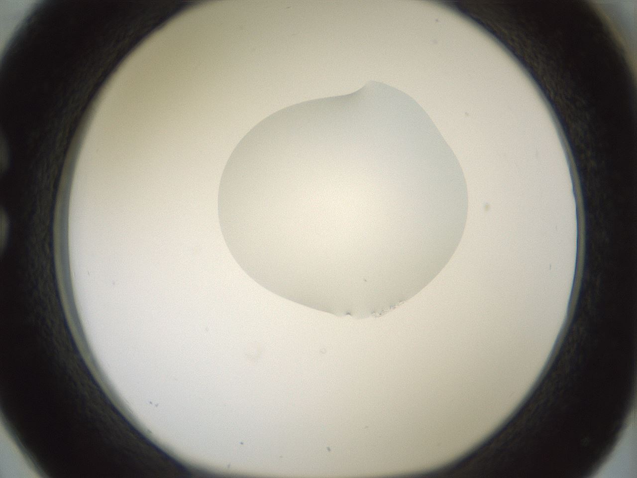 folderID267_plateID1267_batchID4193_wellNum26_profileID1_d1_r76266_ef.jpg