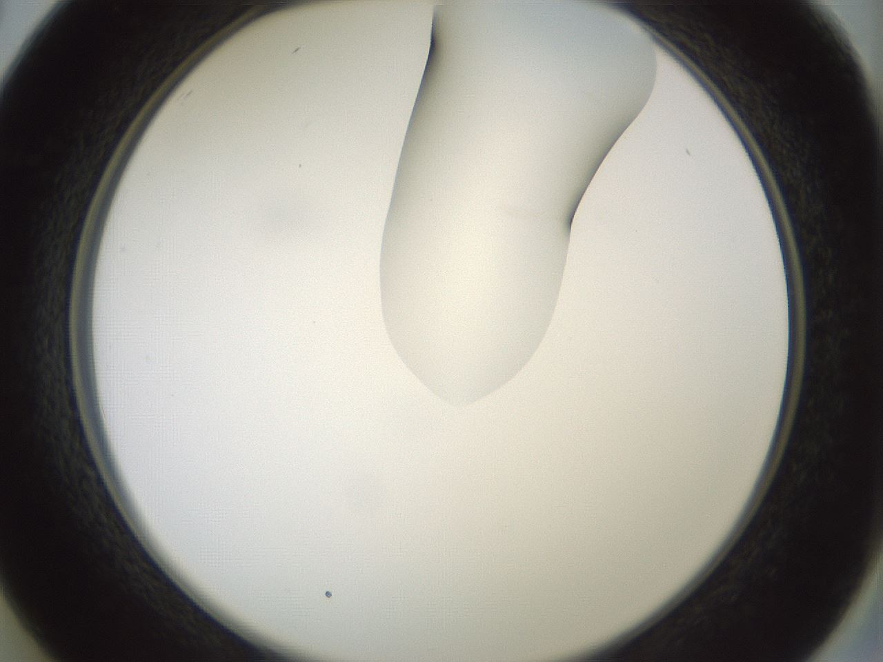 folderID267_plateID1267_batchID4193_wellNum26_profileID1_d2_r76267_ef.jpg