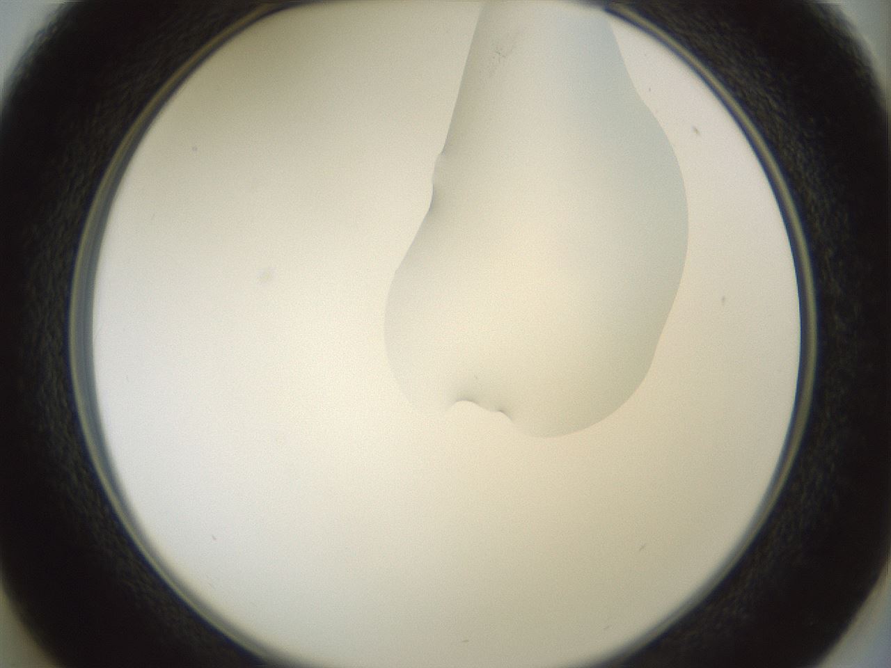 folderID267_plateID1267_batchID4193_wellNum37_profileID1_d2_r76289_ef.jpg