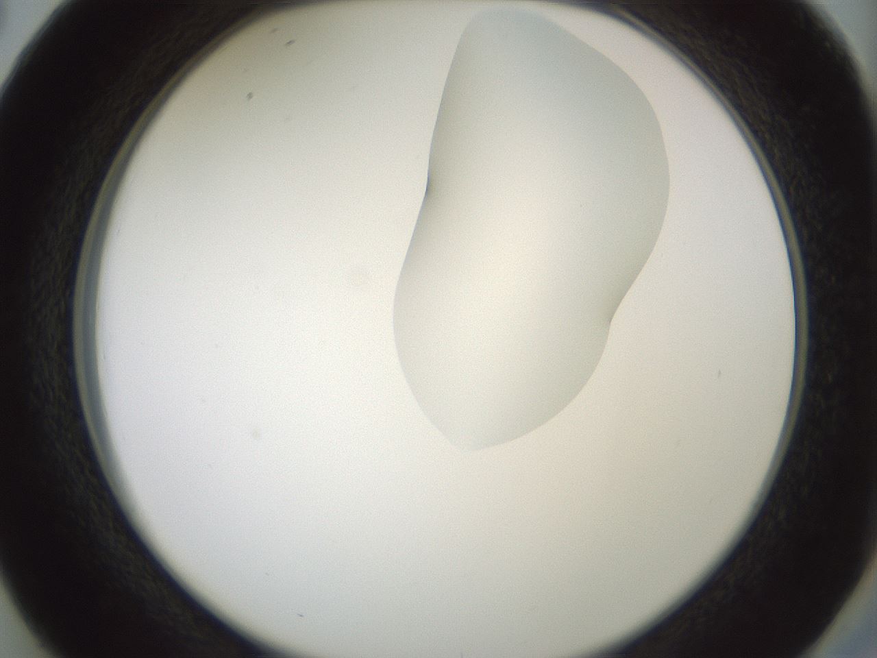 folderID267_plateID1267_batchID4193_wellNum38_profileID1_d2_r76291_ef.jpg