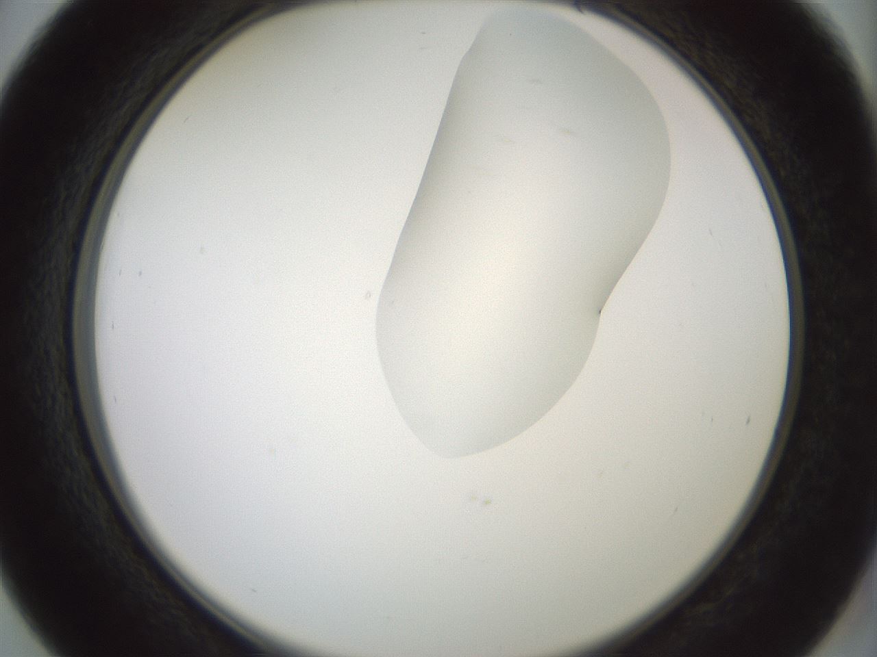 folderID267_plateID1267_batchID4193_wellNum39_profileID1_d2_r76293_ef.jpg
