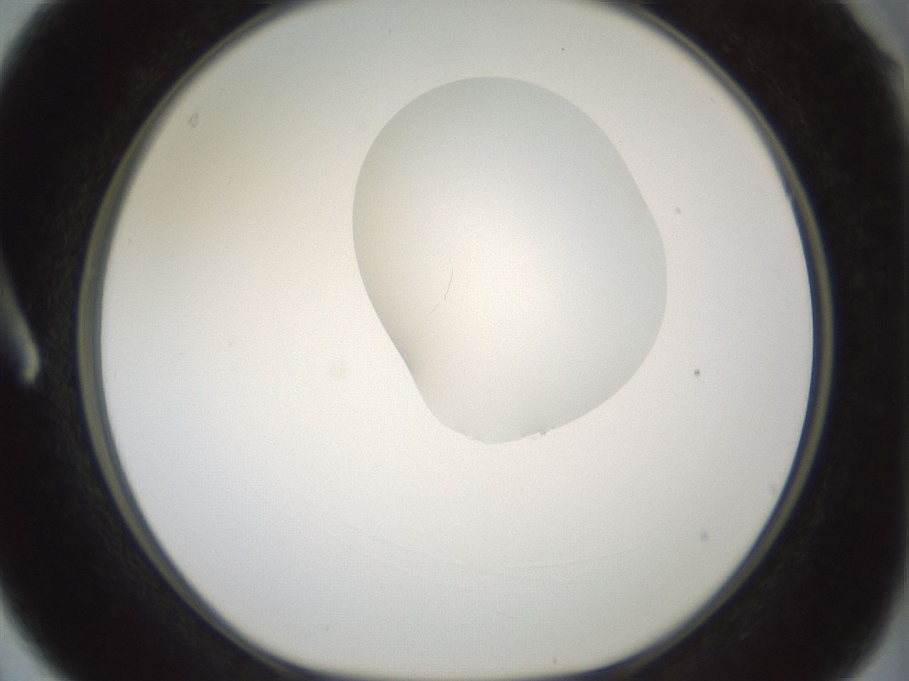 folderID267_plateID1267_batchID4193_wellNum3_profileID1_d1_r76220_ef.jpg