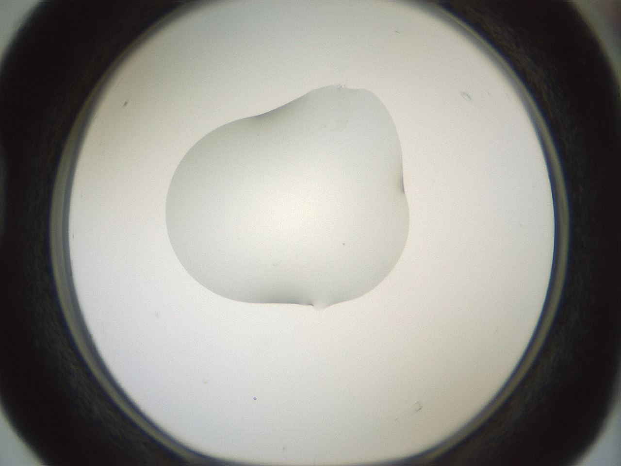 folderID267_plateID1267_batchID4193_wellNum40_profileID1_d1_r76294_ef.jpg