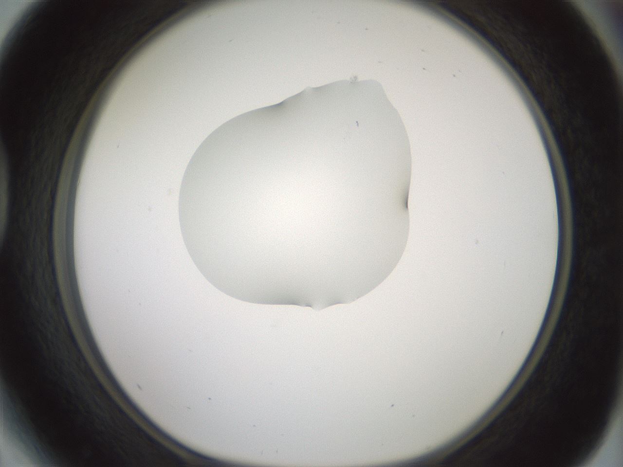folderID267_plateID1267_batchID4193_wellNum41_profileID1_d1_r76296_ef.jpg
