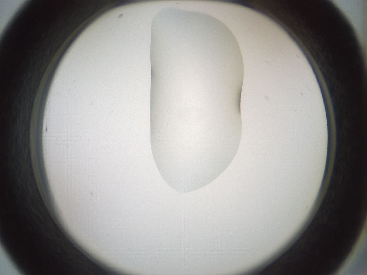 folderID267_plateID1267_batchID4193_wellNum43_profileID1_d2_r76301_ef.jpg