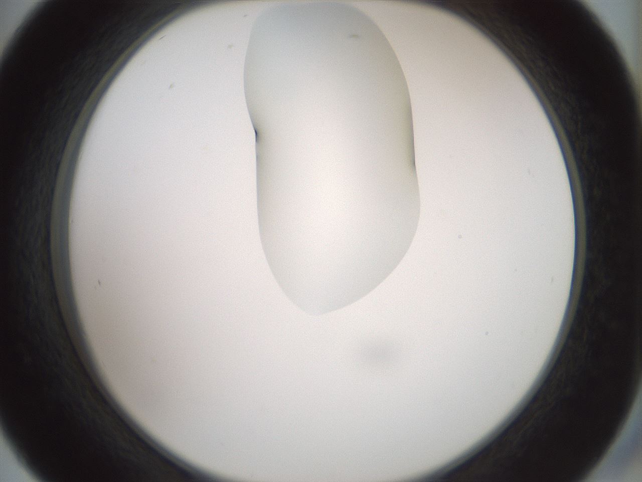 folderID267_plateID1267_batchID4193_wellNum45_profileID1_d2_r76305_ef.jpg