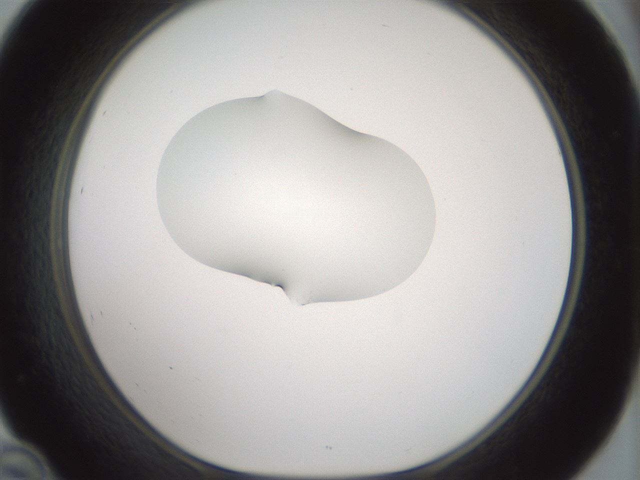 folderID267_plateID1267_batchID4193_wellNum46_profileID1_d1_r76306_ef.jpg