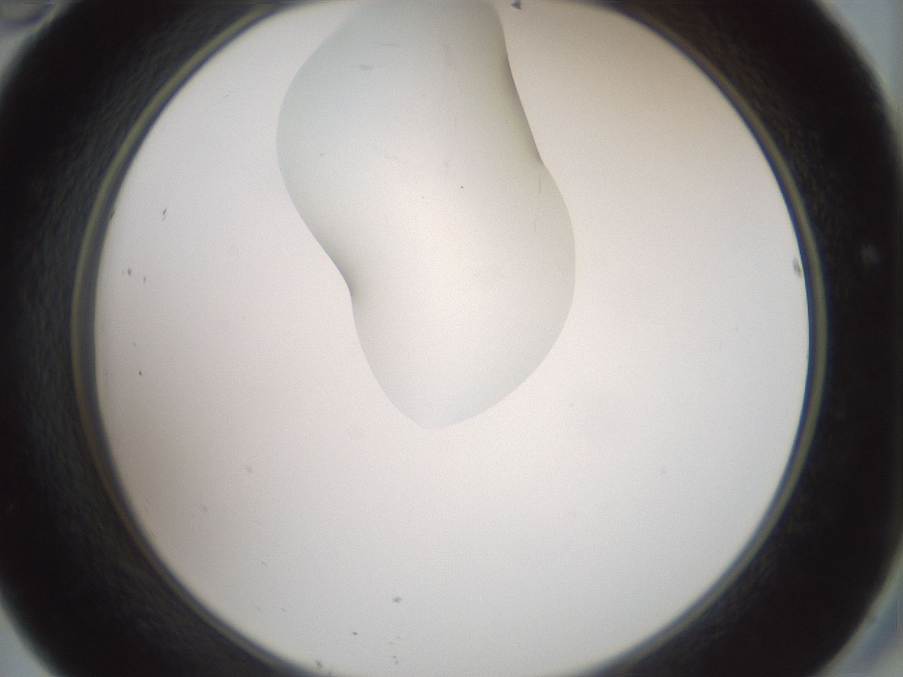 folderID267_plateID1267_batchID4193_wellNum46_profileID1_d2_r76307_ef.jpg