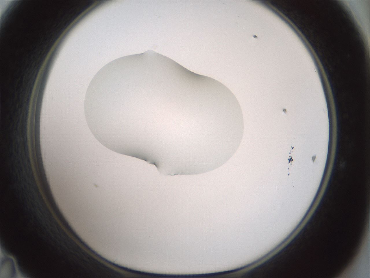 folderID267_plateID1267_batchID4193_wellNum47_profileID1_d1_r76308_ef.jpg