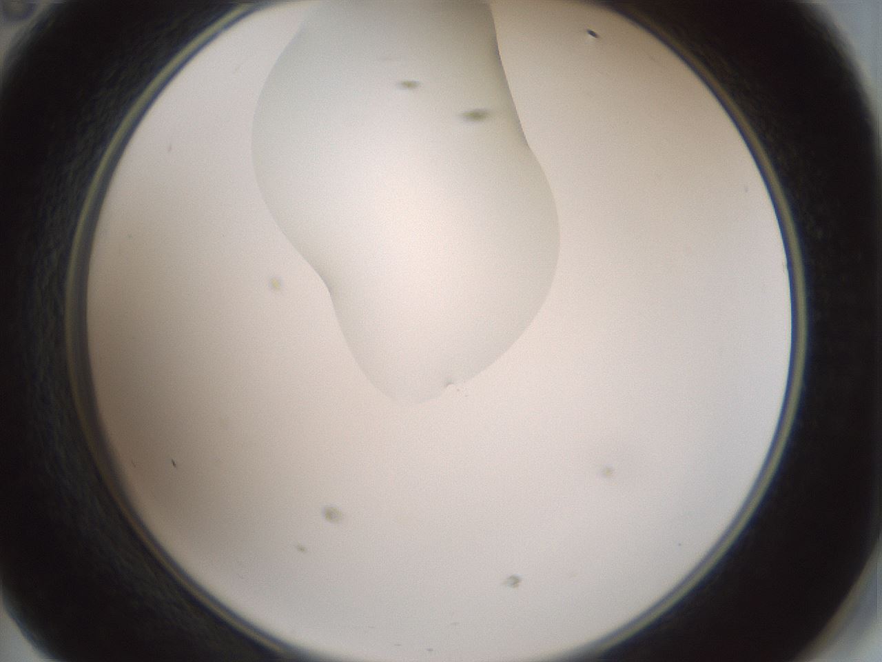 folderID267_plateID1267_batchID4193_wellNum47_profileID1_d2_r76309_ef.jpg
