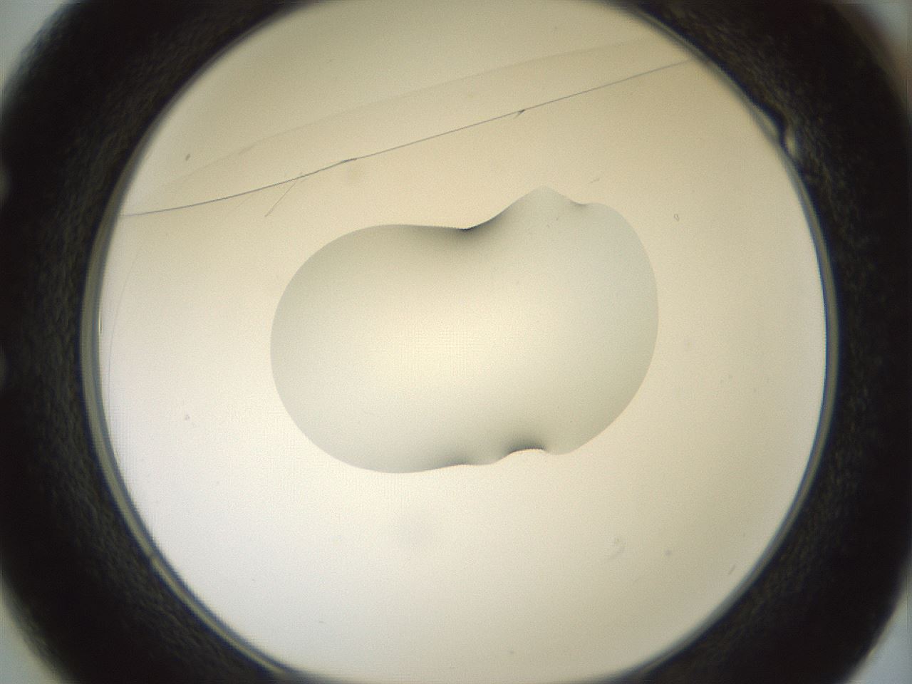 folderID267_plateID1267_batchID4193_wellNum49_profileID1_d1_r76312_ef.jpg