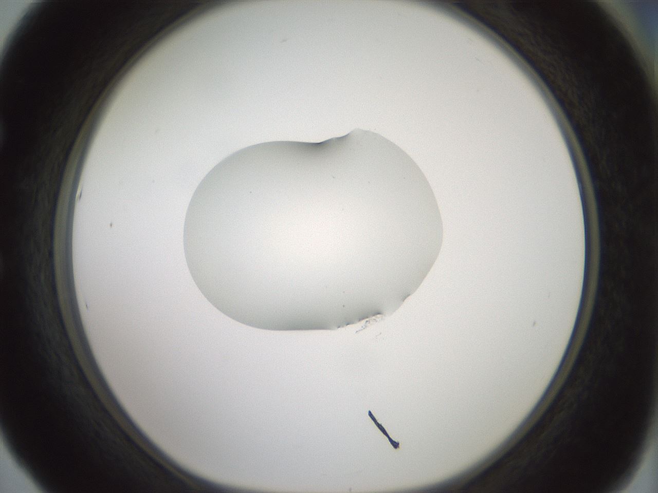 folderID267_plateID1267_batchID4193_wellNum53_profileID1_d1_r76320_ef.jpg