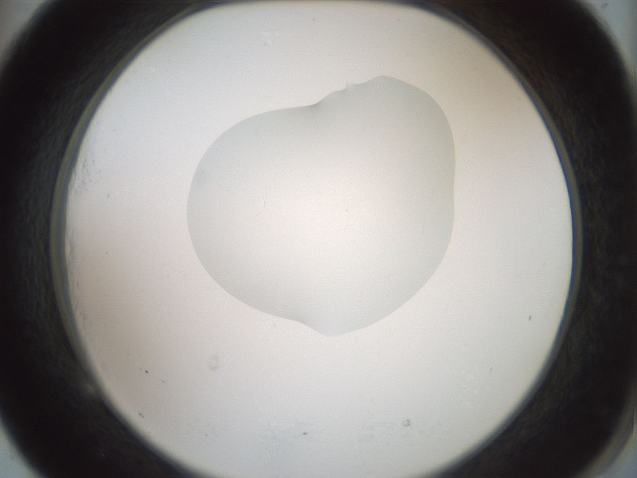folderID267_plateID1267_batchID4193_wellNum53_profileID1_d2_r76321_ef.jpg