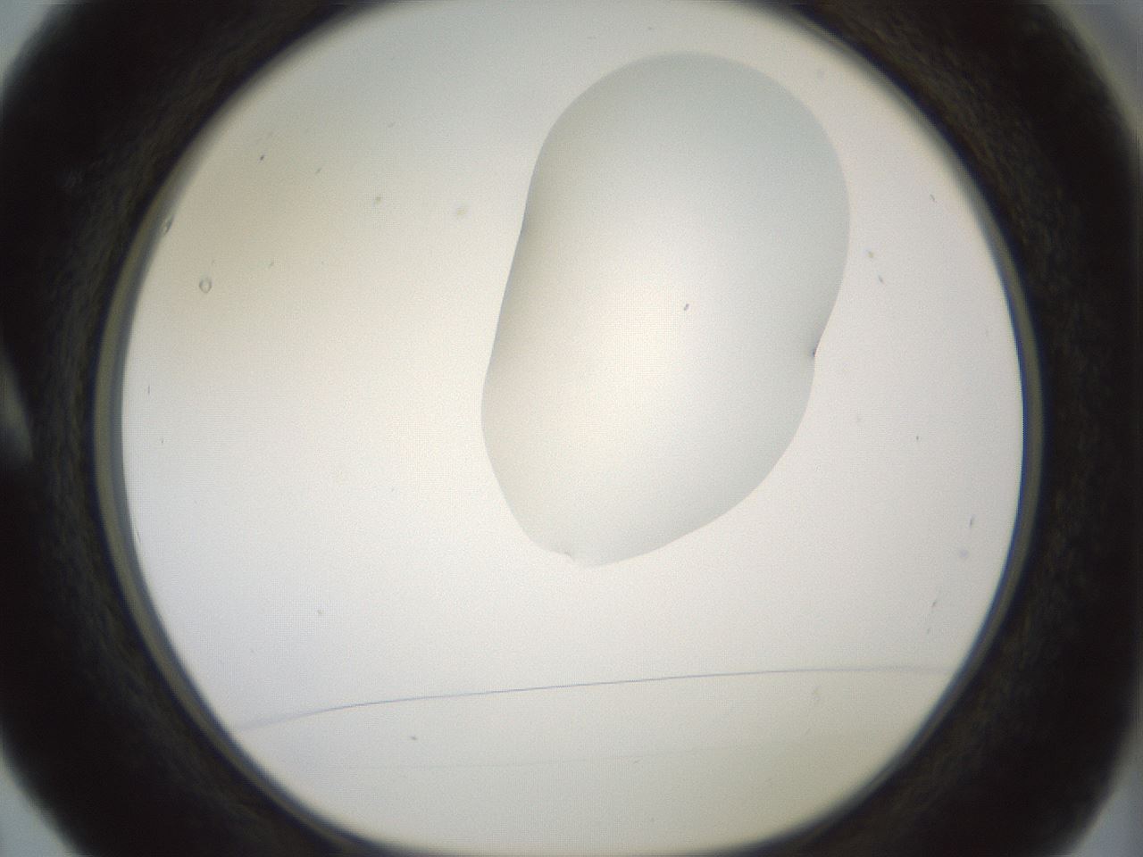folderID267_plateID1267_batchID4193_wellNum5_profileID1_d1_r76224_ef.jpg