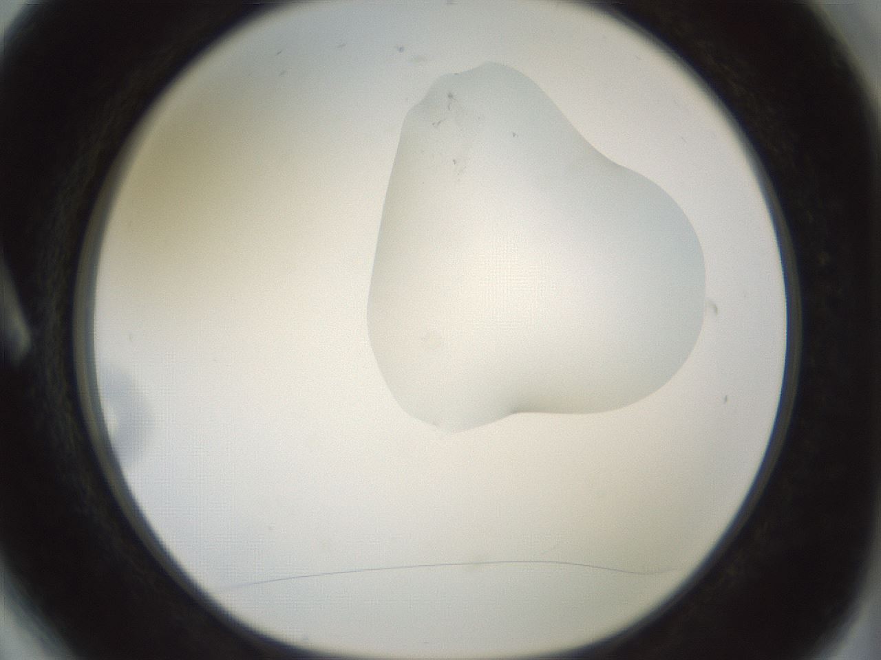 folderID267_plateID1267_batchID4193_wellNum6_profileID1_d1_r76226_ef.jpg