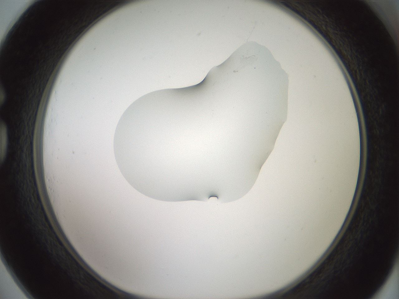 folderID267_plateID1267_batchID4193_wellNum73_profileID1_d1_r76360_ef.jpg