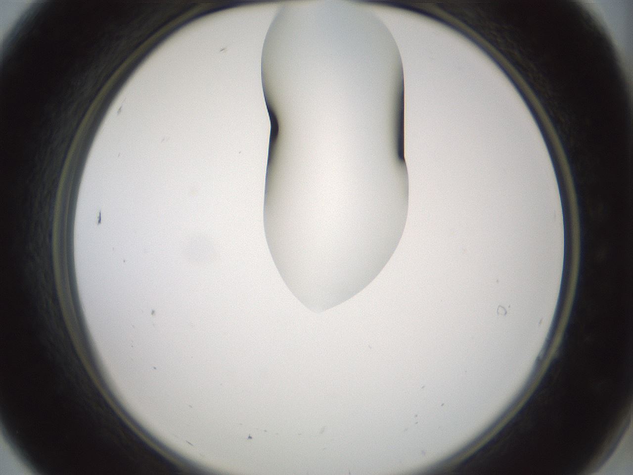 folderID267_plateID1267_batchID4193_wellNum7_profileID1_d2_r76229_ef.jpg