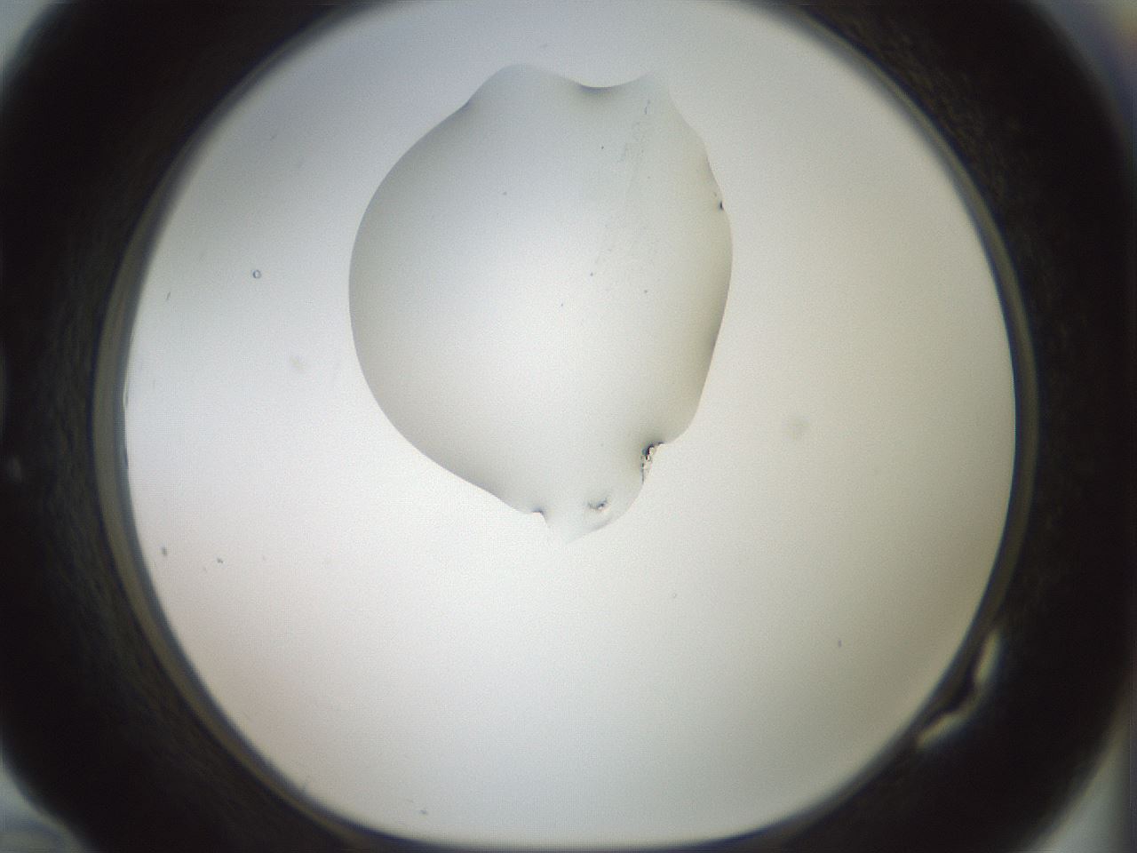 folderID267_plateID1267_batchID4193_wellNum82_profileID1_d1_r76378_ef.jpg
