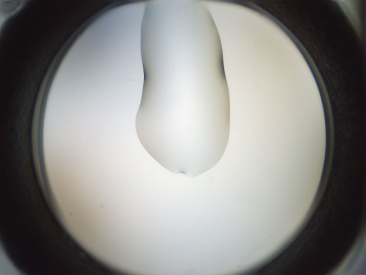 folderID267_plateID1267_batchID4193_wellNum82_profileID1_d2_r76379_ef.jpg