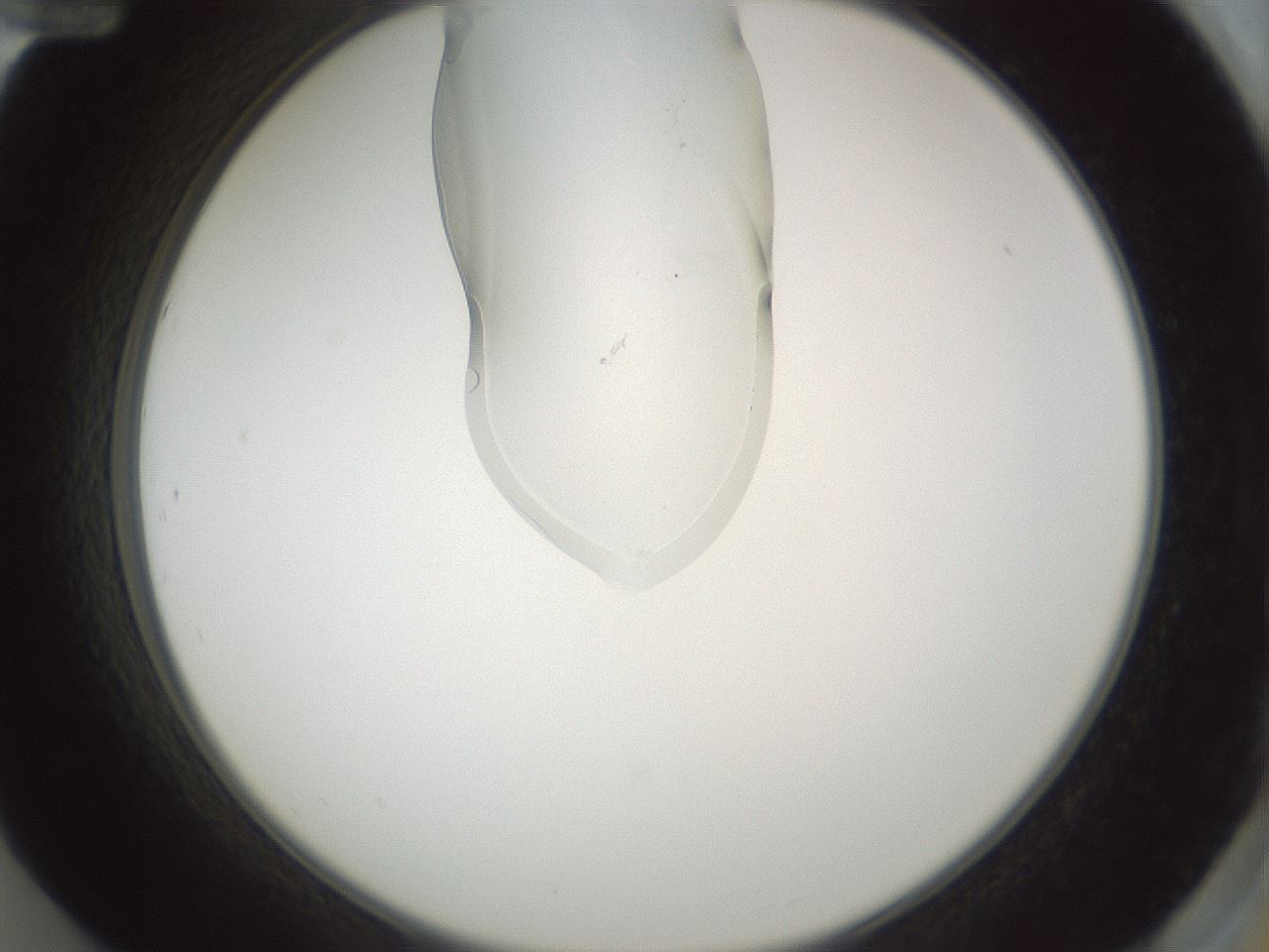 folderID267_plateID1267_batchID4193_wellNum84_profileID1_d2_r76383_ef.jpg