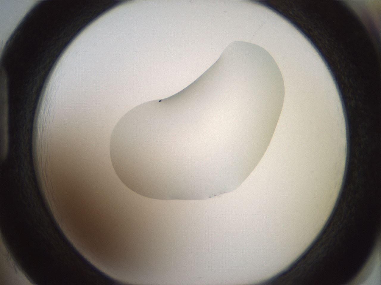 folderID267_plateID1267_batchID4193_wellNum85_profileID1_d1_r76384_ef.jpg
