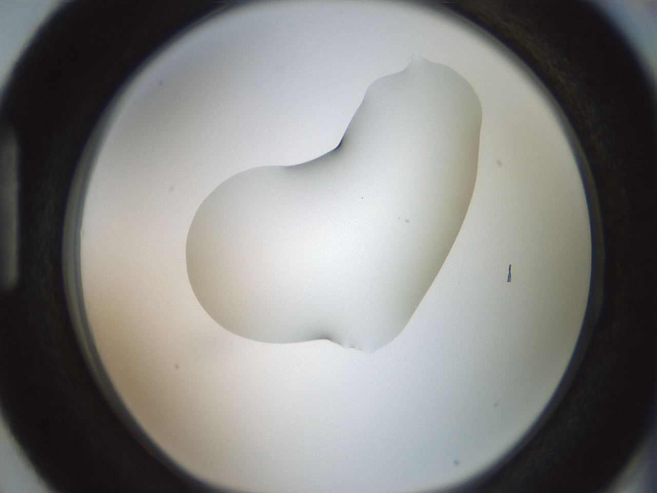 folderID267_plateID1267_batchID4193_wellNum87_profileID1_d1_r76388_ef.jpg