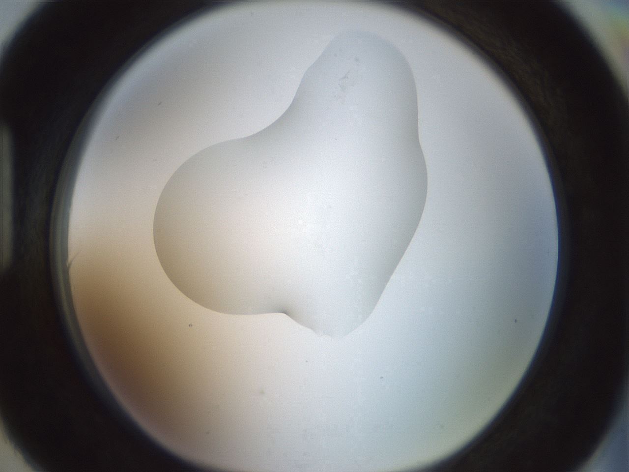folderID267_plateID1267_batchID4193_wellNum90_profileID1_d1_r76394_ef.jpg