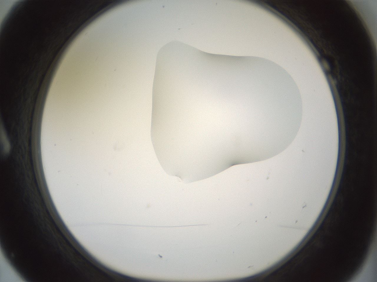 folderID267_plateID1267_batchID4193_wellNum7_profileID1_d1_r76228_ef.jpg