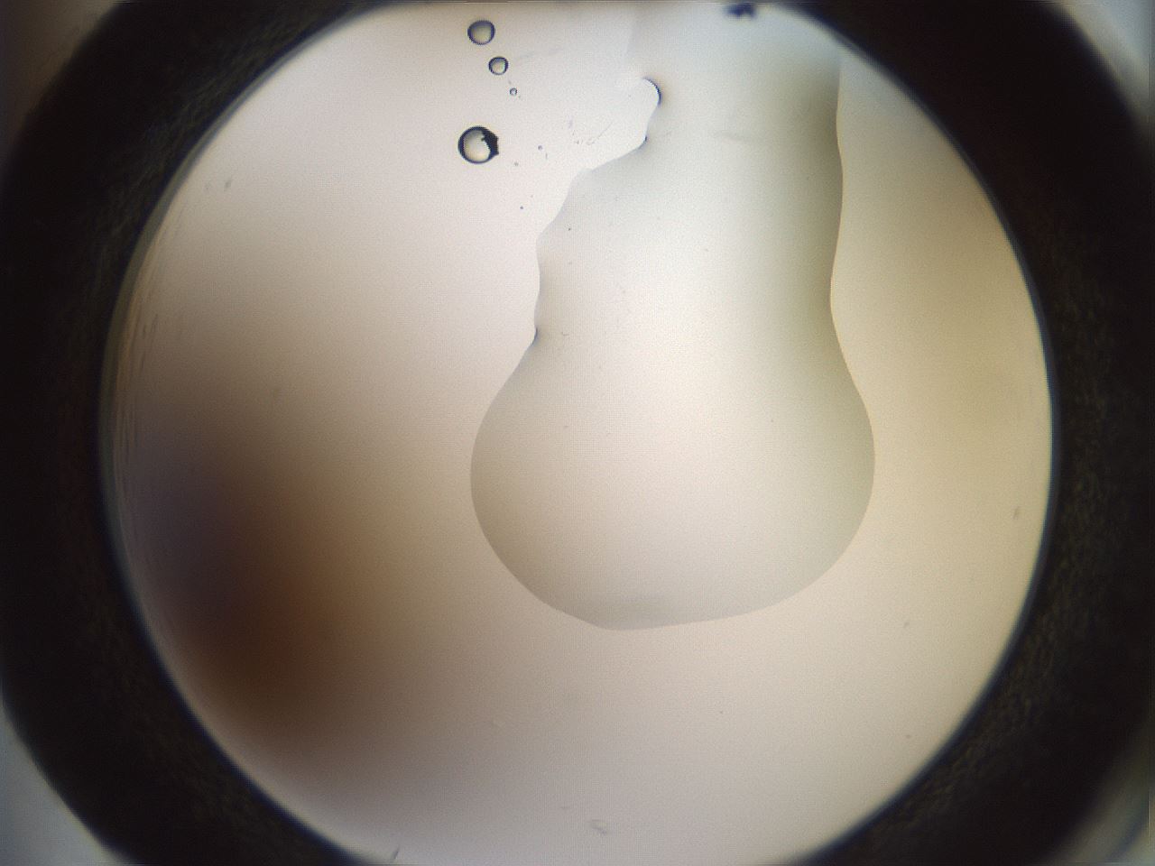 folderID267_plateID1267_batchID4193_wellNum85_profileID1_d2_r76385_ef.jpg