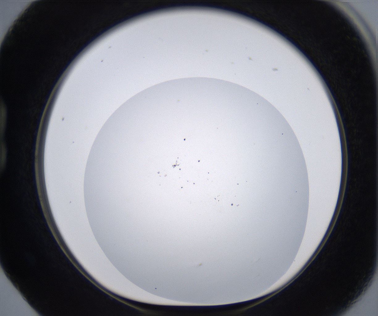 folderID267_plateID2267_batchID10355_wellNum17_profileID1_d1_r157794_ef.jpg
