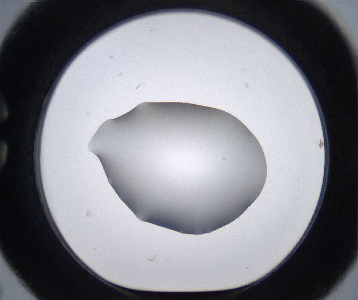 folderID267_plateID2267_batchID10355_wellNum30_profileID1_d1_r157820_ef.jpg