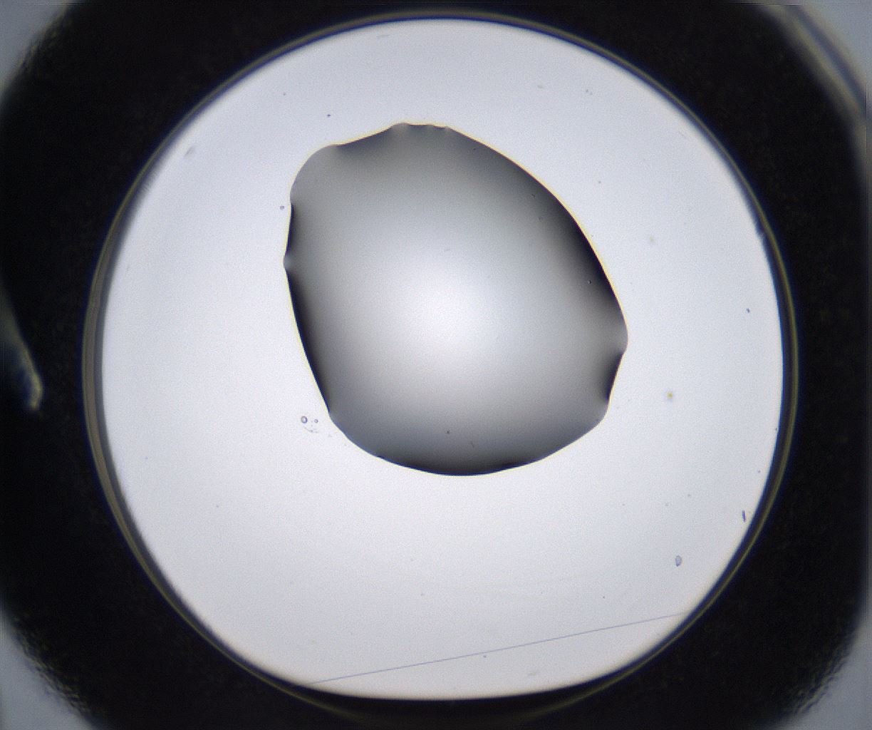 folderID267_plateID2267_batchID10355_wellNum3_profileID1_d1_r157766_ef.jpg