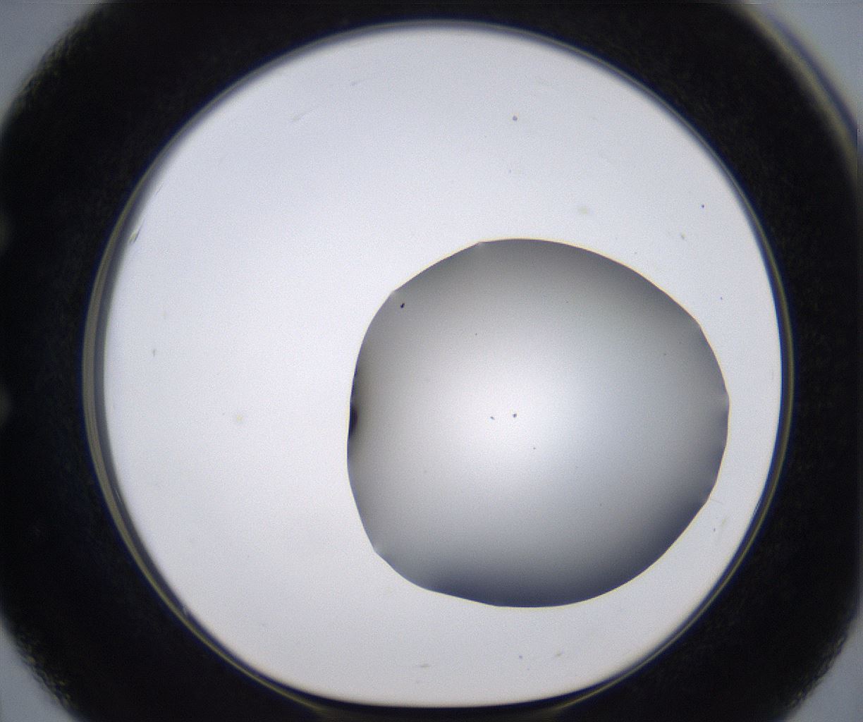folderID267_plateID2267_batchID10355_wellNum51_profileID1_d1_r157862_ef.jpg