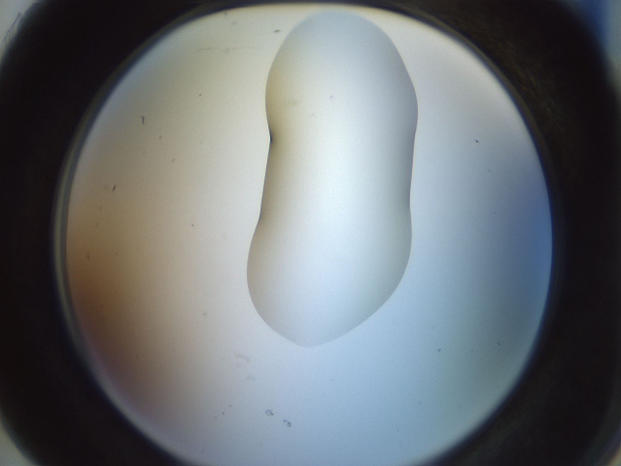 folderID267_plateID1267_batchID4193_wellNum91_profileID1_d2_r76397_ef.jpg