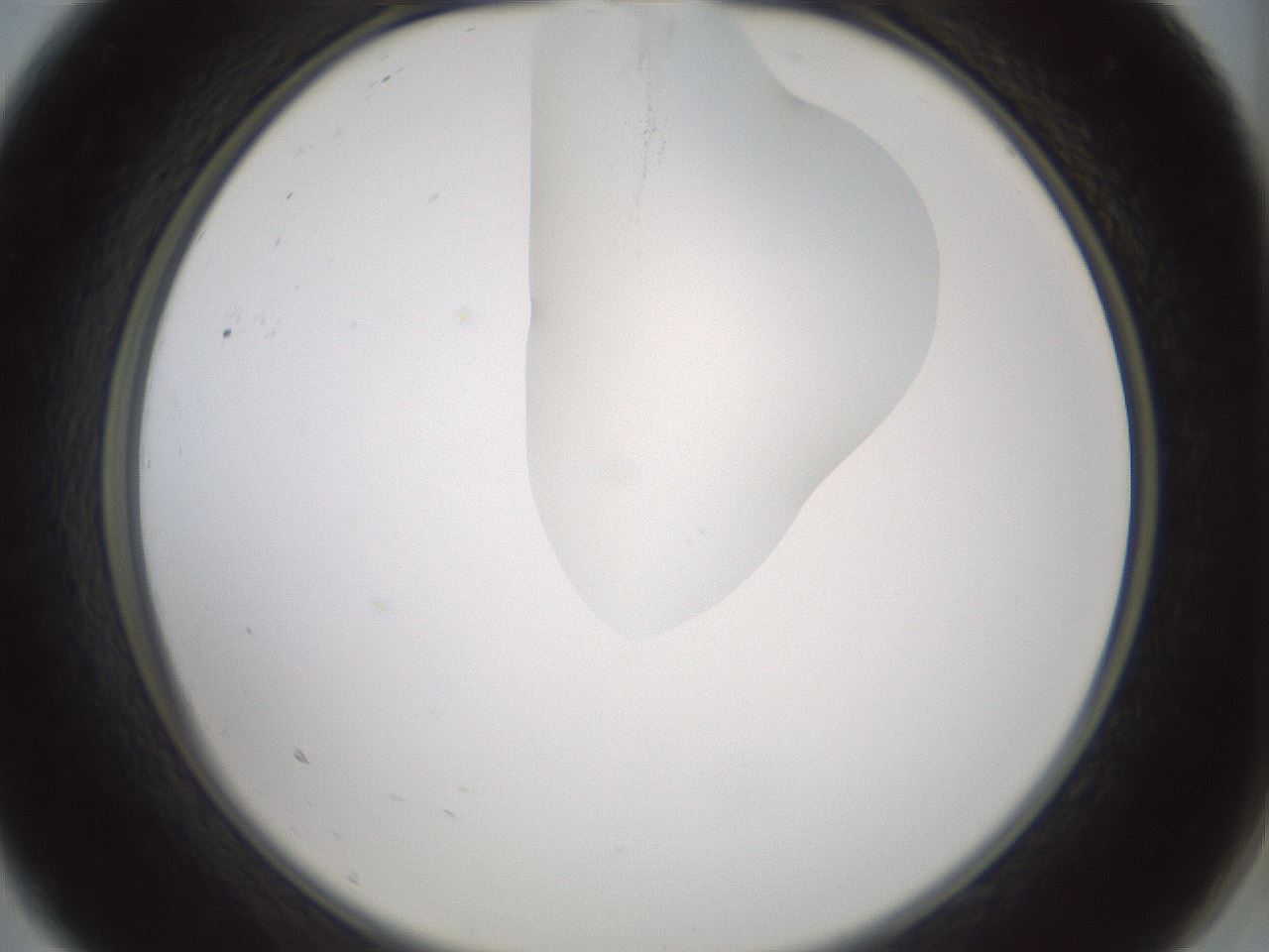 folderID267_plateID1267_batchID4193_wellNum9_profileID1_d2_r76233_ef.jpg