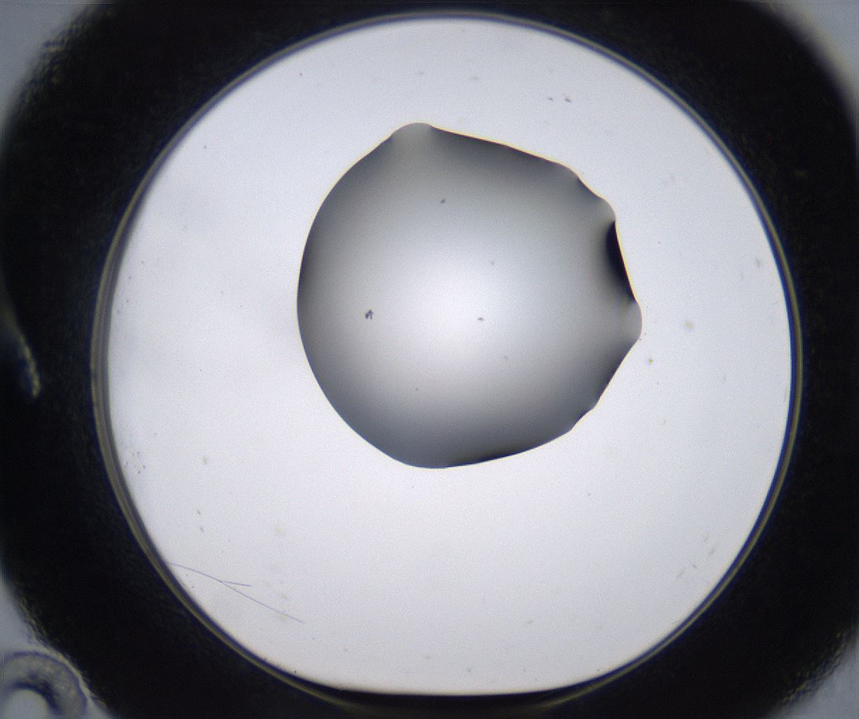 folderID267_plateID2267_batchID10355_wellNum10_profileID1_d1_r157780_ef.jpg