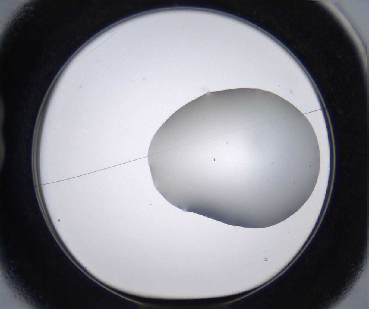 folderID267_plateID2267_batchID10355_wellNum13_profileID1_d1_r157786_ef.jpg