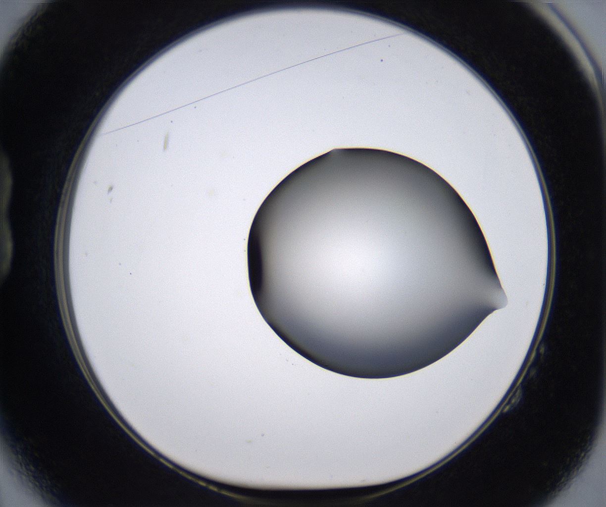 folderID267_plateID2267_batchID10355_wellNum14_profileID1_d1_r157788_ef.jpg